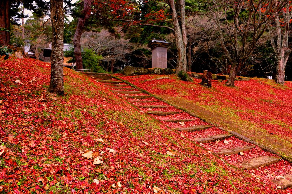 土津神社の画像 - 3枚目
