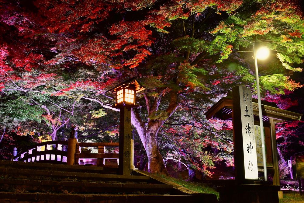 土津神社の画像 - 4枚目