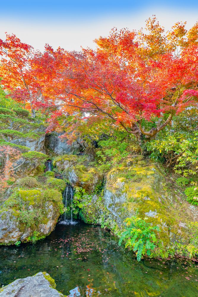 箱根美術館の画像 - 3枚目