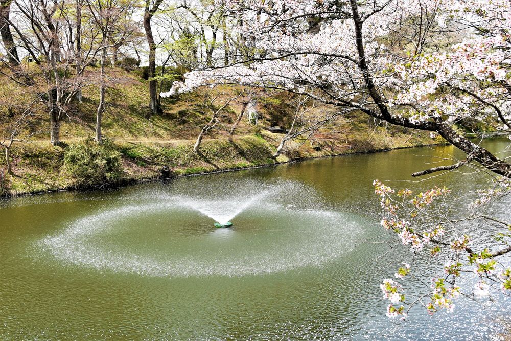棚倉城跡の画像 - 2枚目
