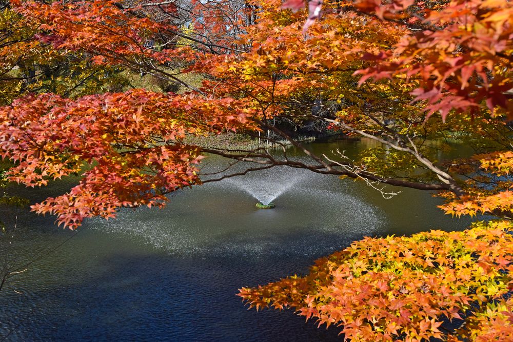 棚倉城跡の画像 - 3枚目