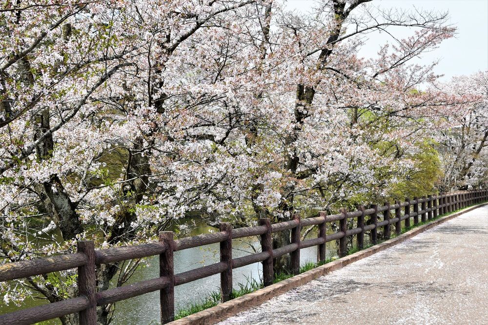 棚倉城跡の画像 - 4枚目