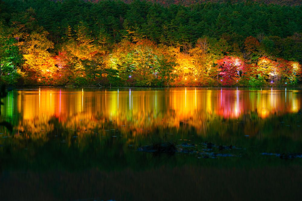観音沼森林公園の画像 - 5枚目