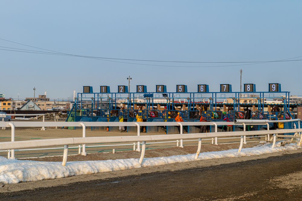 帯広競馬場の画像 - 3枚目