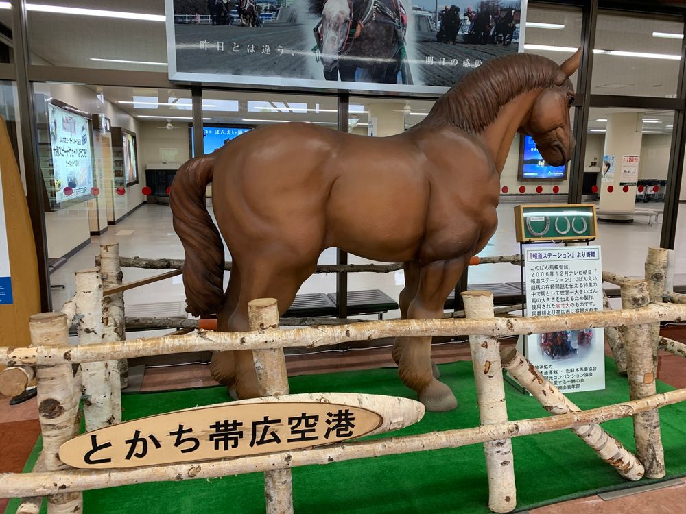 帯広競馬場の画像 - 4枚目