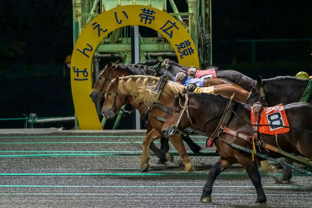 帯広競馬場の画像 - 5枚目
