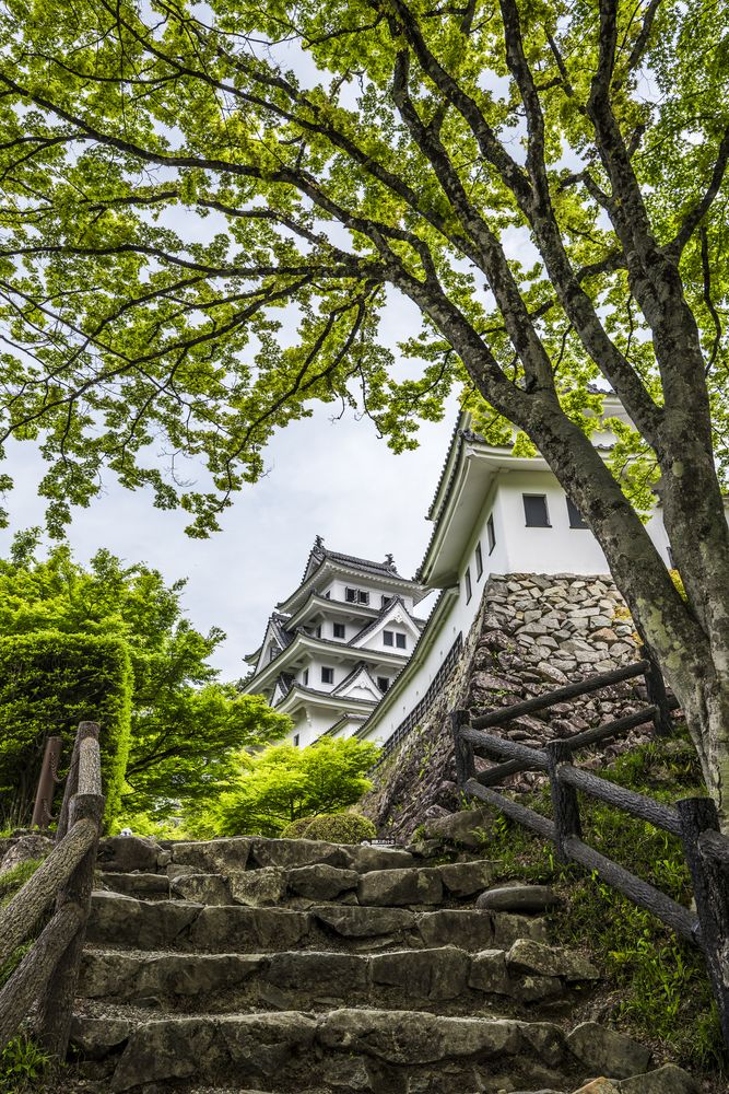 郡上八幡城の画像 - 4枚目