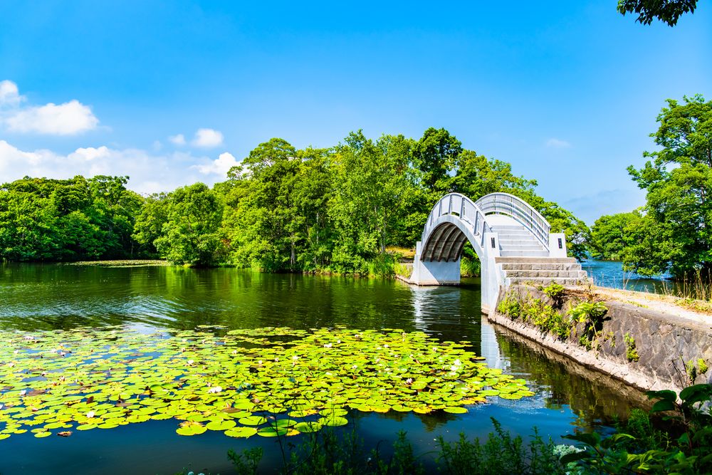 大沼公園 夕日の道】の周辺スポット・アクセス・口コミ - Prism Japan