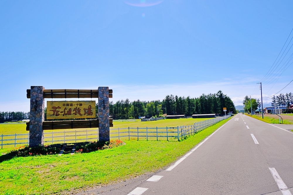 花畑牧場の画像 - 3枚目