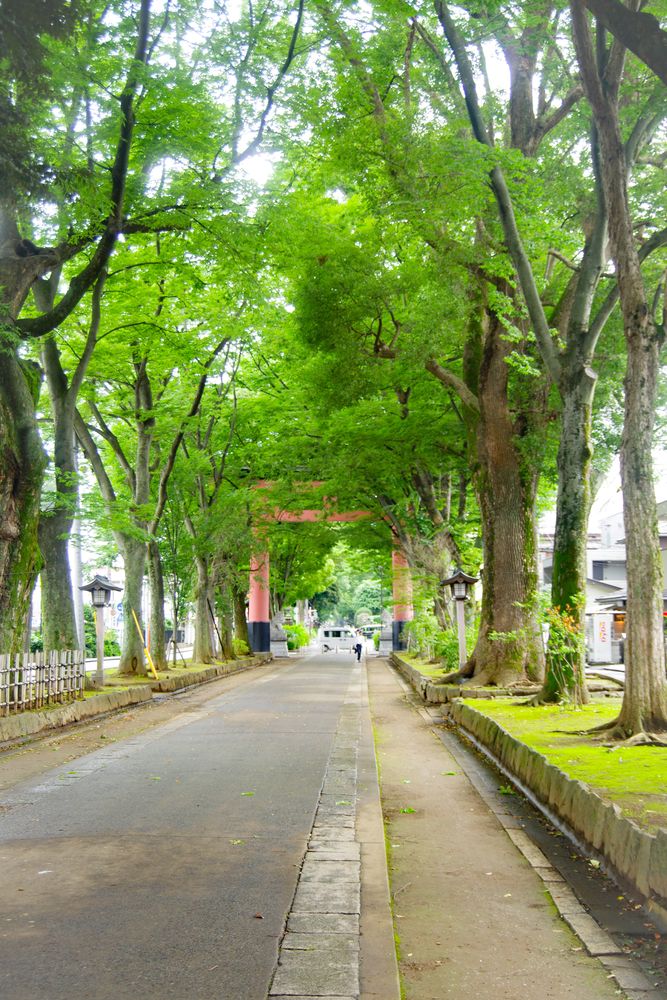 大宮氷川神社の画像 - 5枚目