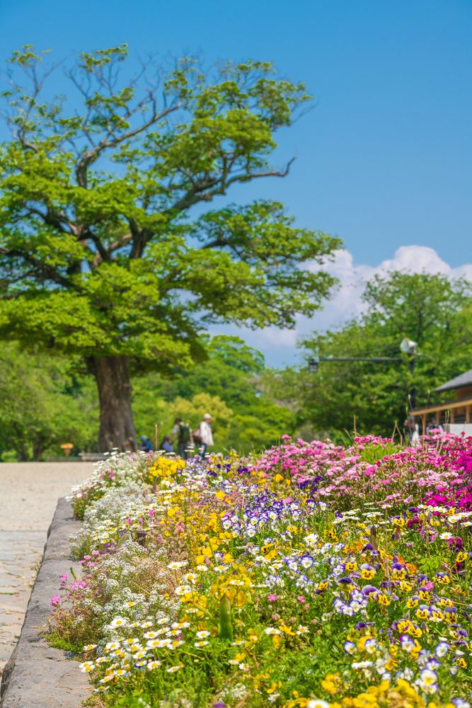 大濠公園の画像 - 2枚目