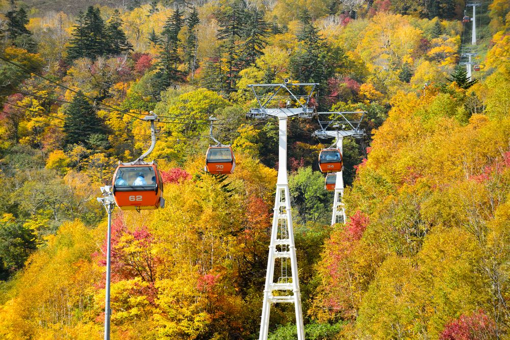 札幌国際スキー場の画像 - 2枚目