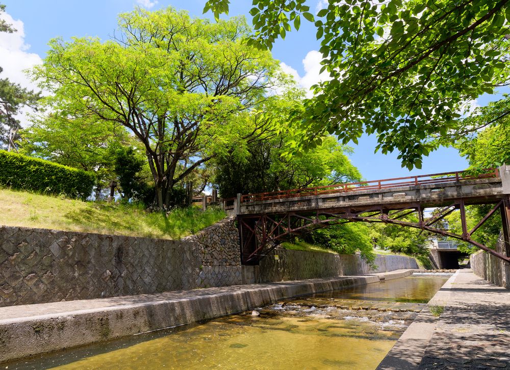 夙川公園(夙川河川敷緑地)の画像 - 2枚目