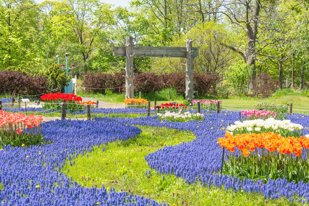 百合が原公園の画像 - 5枚目