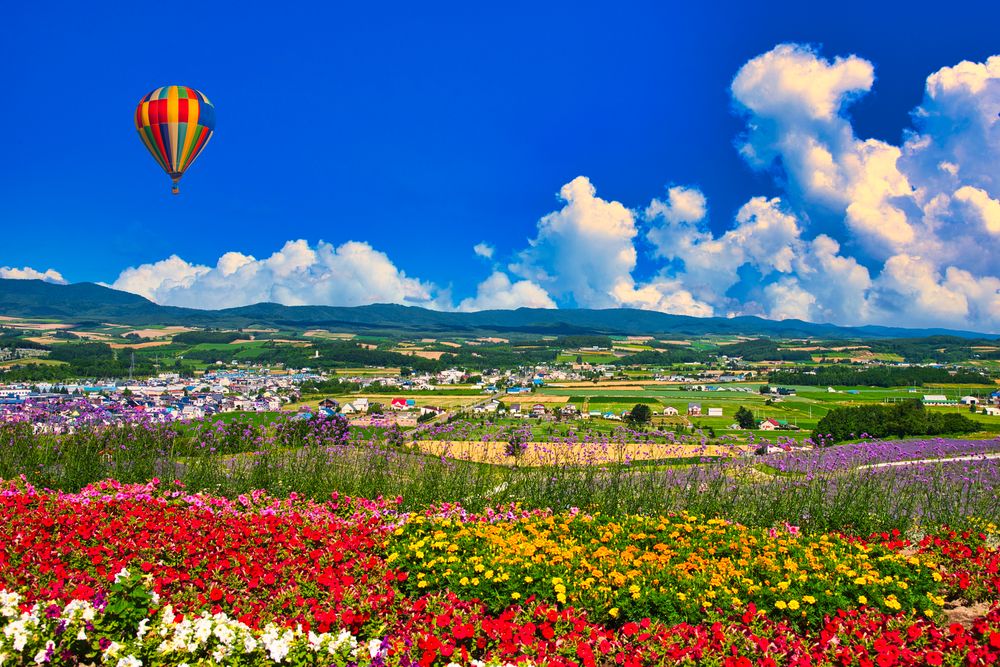 日の出公園】の周辺スポット・アクセス・口コミ - Prism Japan