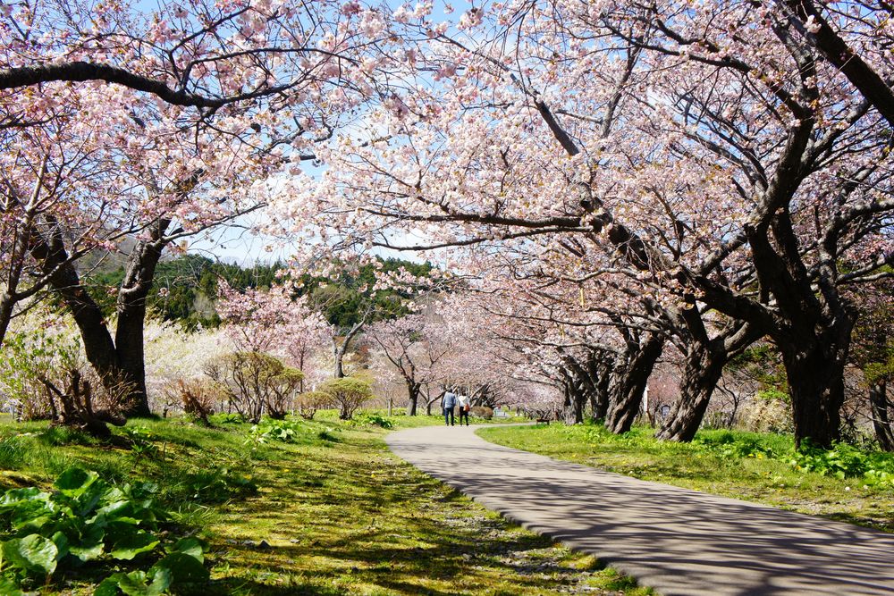 松前城跡の画像 - 4枚目
