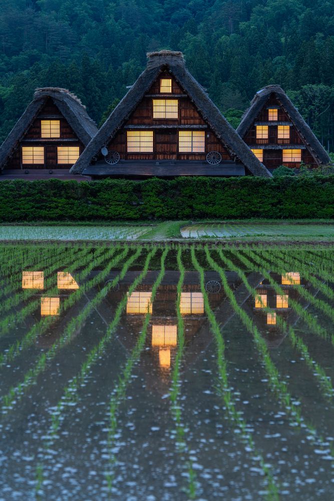 白川郷】の周辺スポット・アクセス・口コミ - Prism Japan