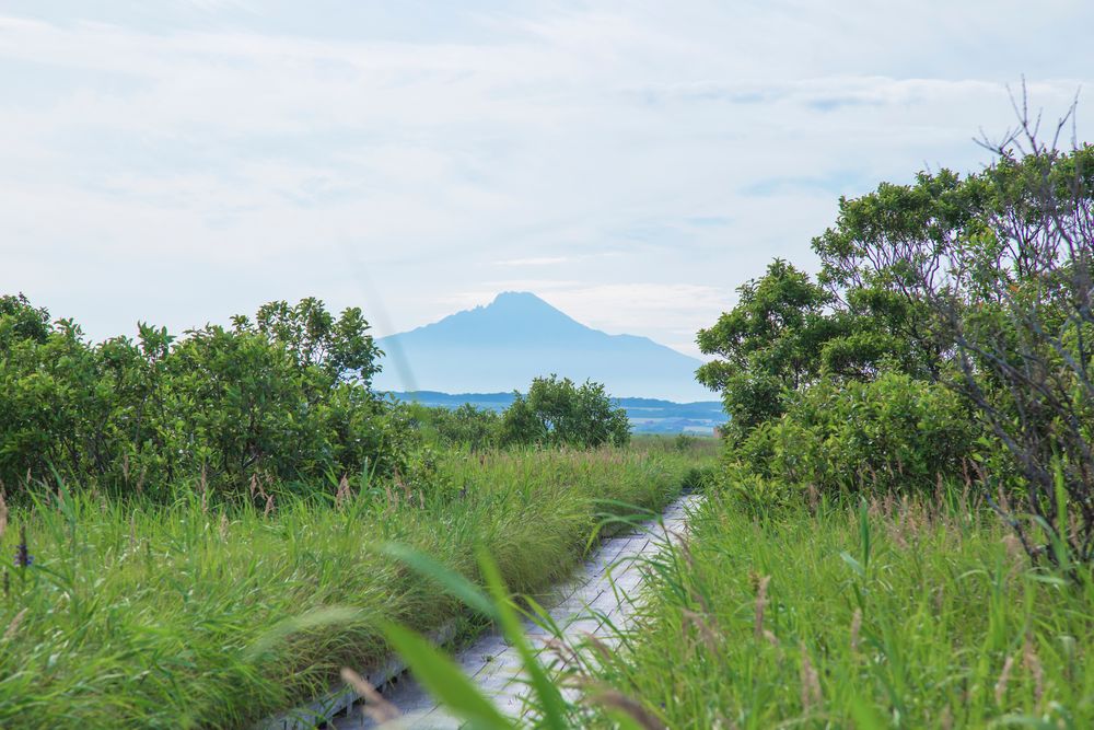 サロベツ原野の画像 - 3枚目