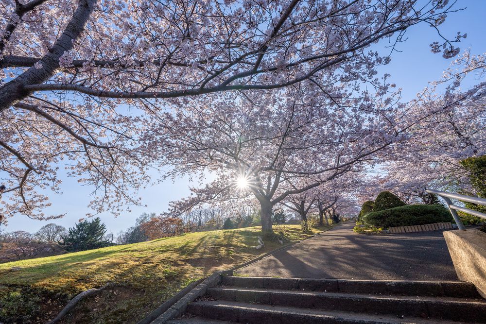 手宮公園の画像 - 4枚目