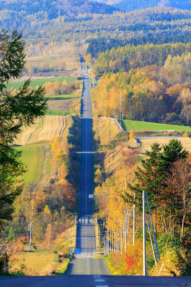 ジェットコースターの路】の周辺スポット・アクセス・口コミ - Prism Japan