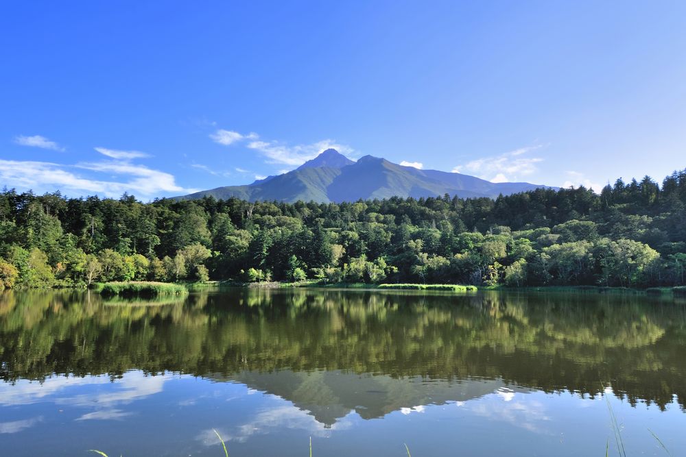 利尻山（利尻富士）の画像 - 4枚目