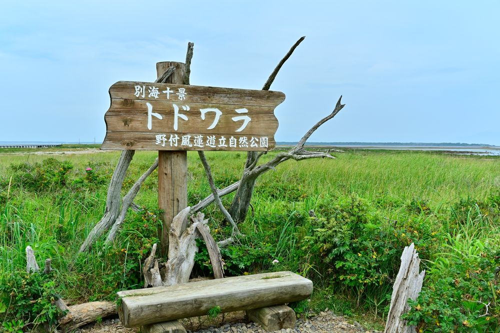 トドワラの画像 - 2枚目