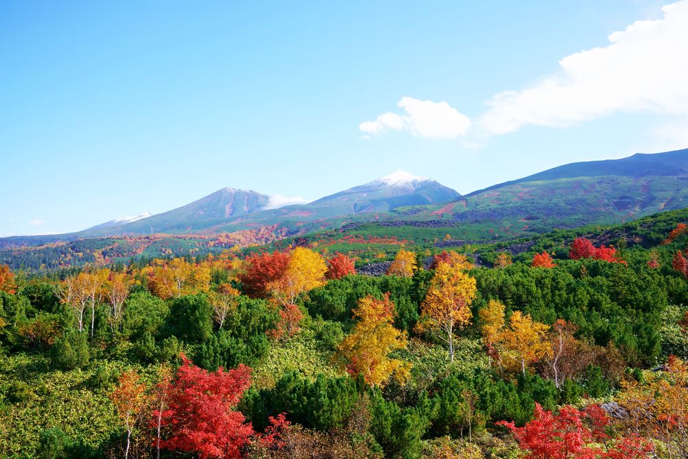 十勝岳 望岳台の画像 - 2枚目