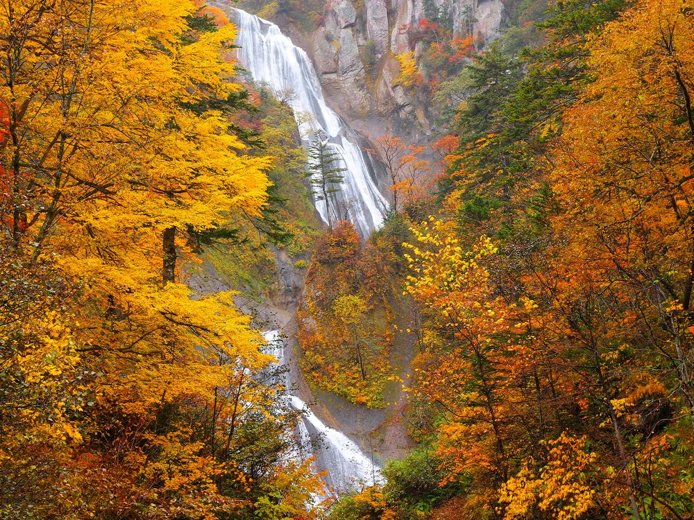 羽衣の滝の画像 - 2枚目