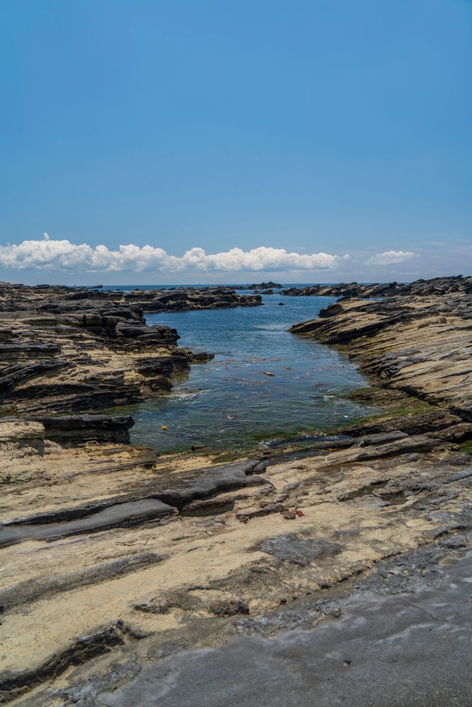 神奈川県立城ヶ島公園の画像 - 5枚目