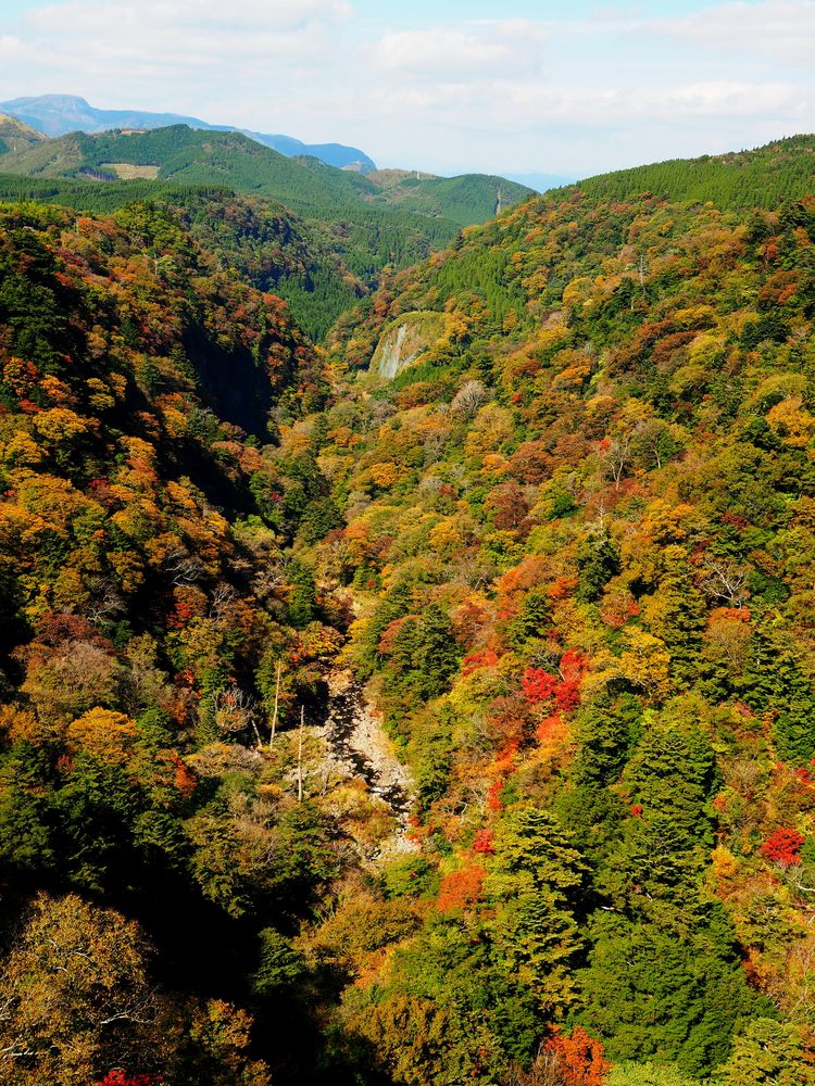 九重"夢"大吊橋の画像 - 2枚目