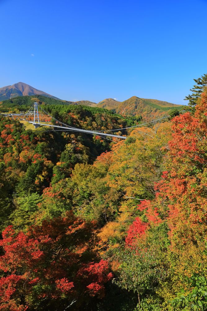九重"夢"大吊橋の画像 - 3枚目