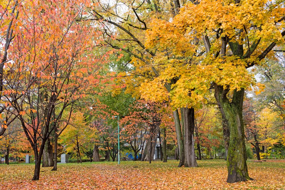 常磐公園の画像 - 2枚目