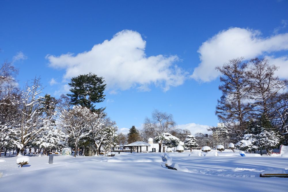 常磐公園の画像 - 3枚目
