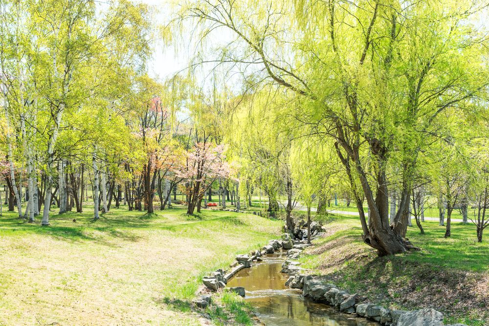 真駒内公園の画像 - 3枚目