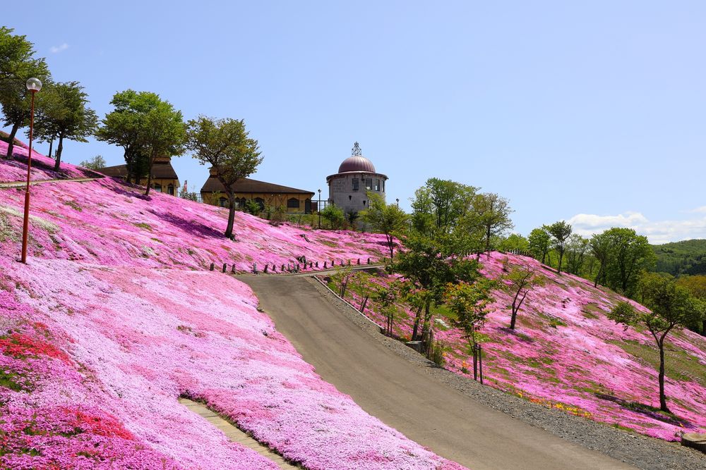 芝ざくら滝上公園の画像 - 5枚目
