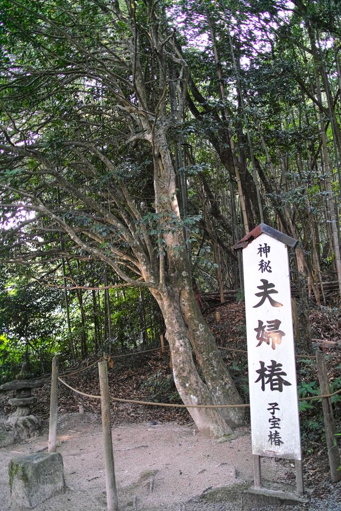 八重垣神社の画像 - 3枚目