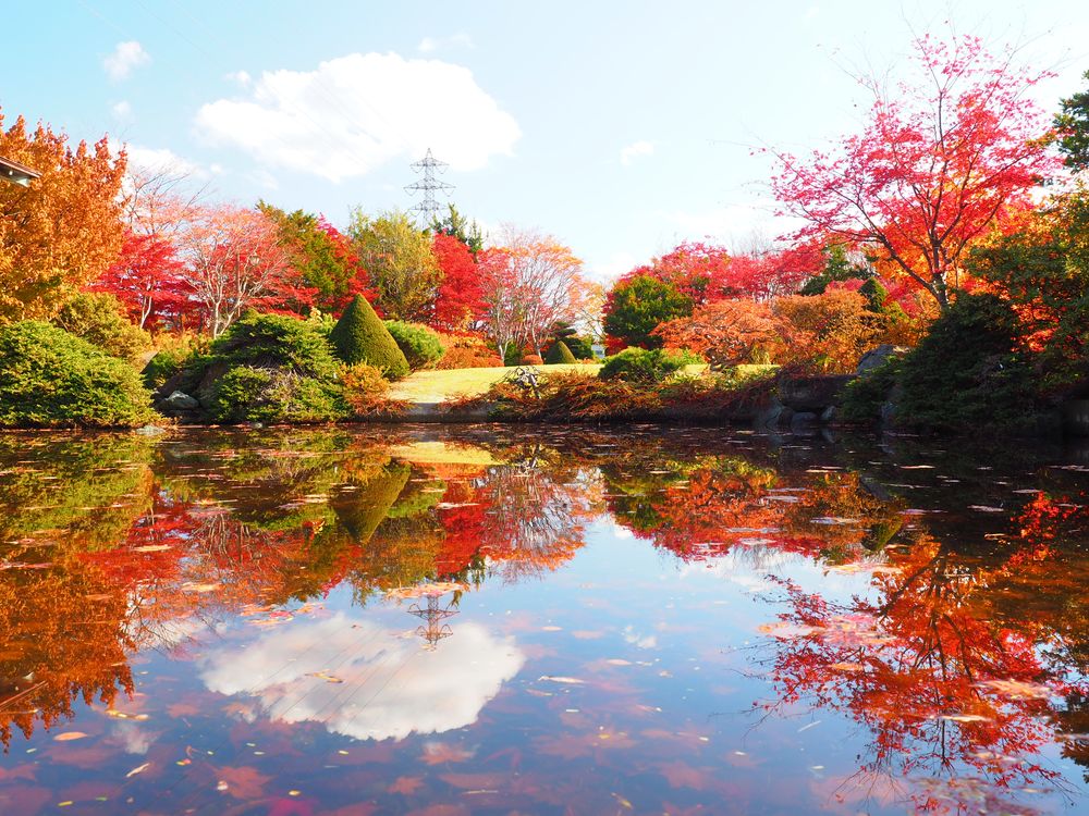 平岡樹芸センター(みどりーむ)の画像 - 2枚目