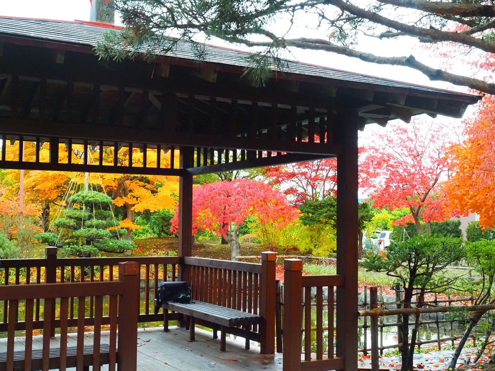 平岡樹芸センター(みどりーむ)の画像 - 3枚目