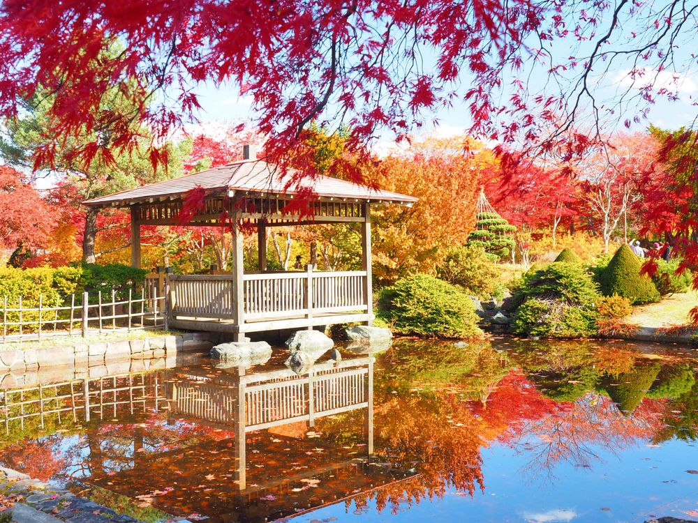 平岡樹芸センター(みどりーむ)の画像 - 4枚目