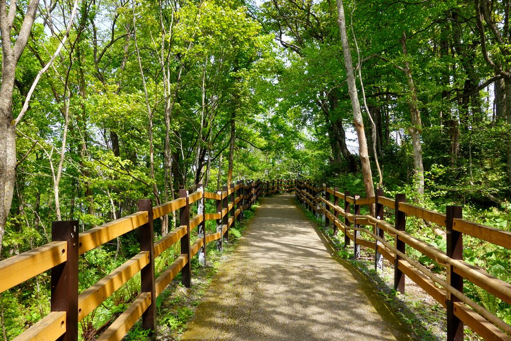 嵐山展望台の画像 - 2枚目