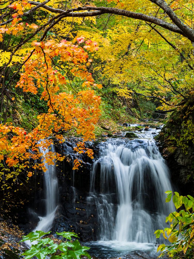 平和の滝の画像 - 2枚目