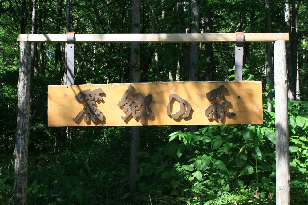 麓郷の森の画像 - 4枚目