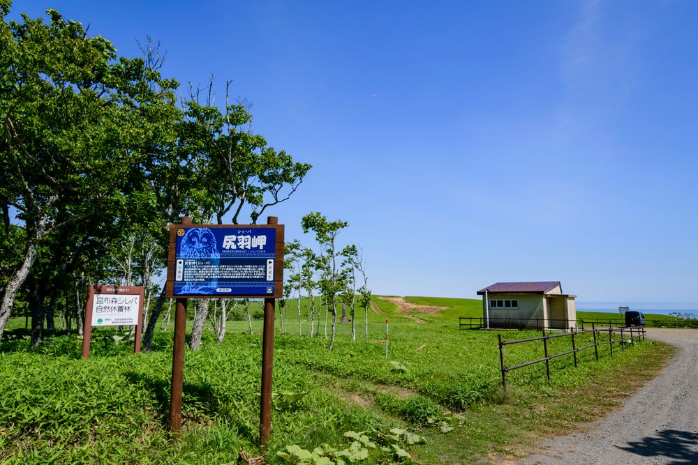 尻羽岬の画像 - 5枚目