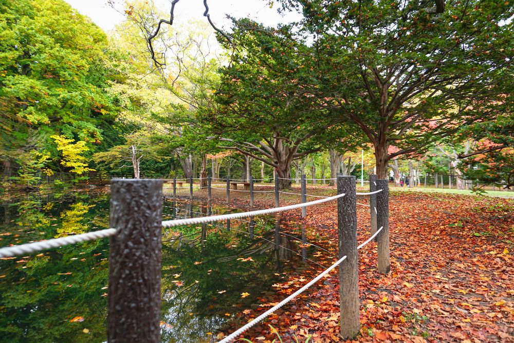 丸山公園の画像 - 3枚目