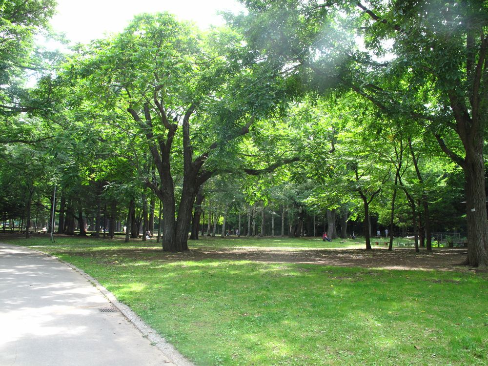 丸山公園の画像 - 6枚目