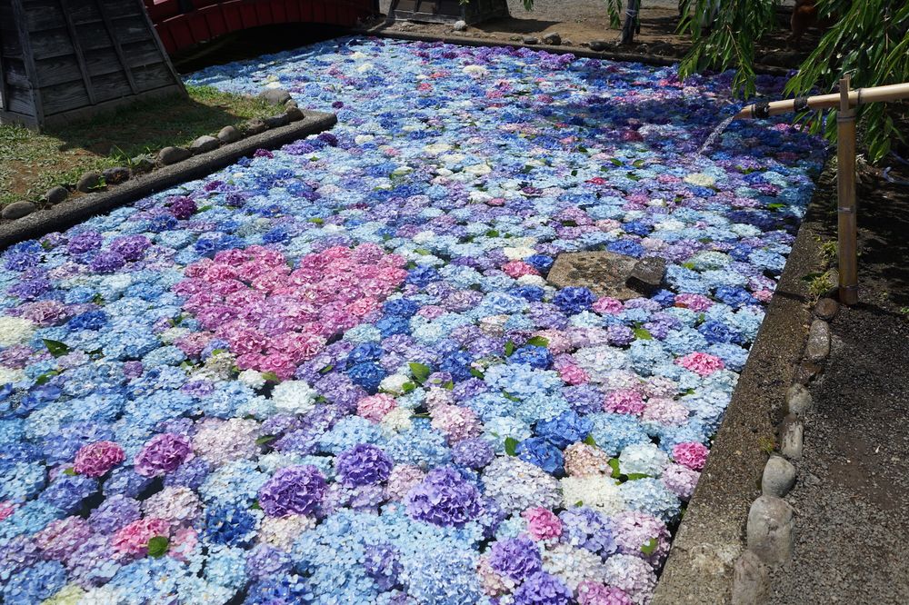 松前藩屋敷の画像 - 8枚目