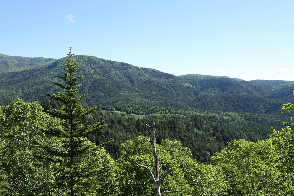 石北峠の画像 - 4枚目