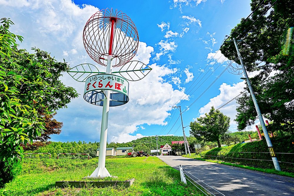 さくらんぼ山観光農園】の周辺スポット・アクセス・口コミ - Prism Japan さくらんぼ山観光農園】の周辺スポット・アクセス・口コミ - Prism Japan