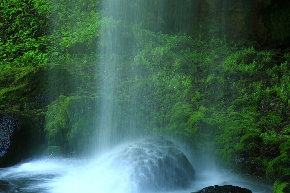 山彦の滝の画像 - 5枚目