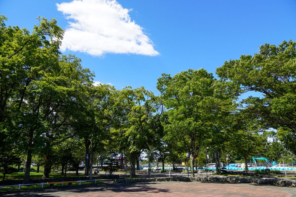 農試公園の画像 - 2枚目